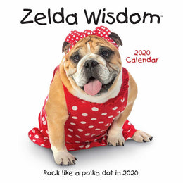 Zelda Wisdom 2020 Wall Calendar - Bookseller USA