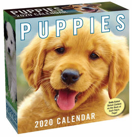 Puppies 2020 Day-to-Day Calendar - Bookseller USA