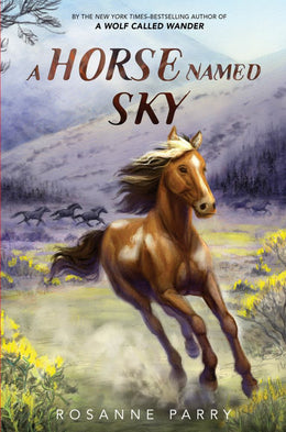 A Horse Named Sky - Bookseller USA