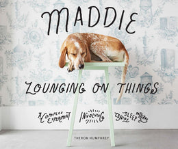 Maddie Lounging on Things: A Complex Experiment Involving Canine Sleep Patterns - Bookseller USA