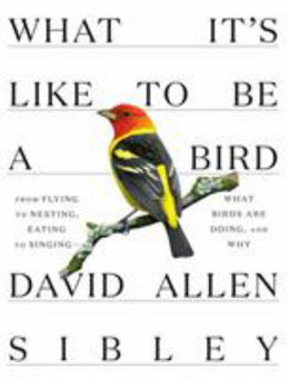 What It's Like to Be a Bird: From Flying to Nestin - Bookseller USA