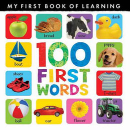 100 FIRST WORDS 8X8 - Bookseller USA