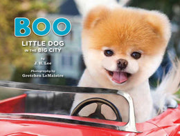 Boo: Little Dog in the Big City - Bookseller USA